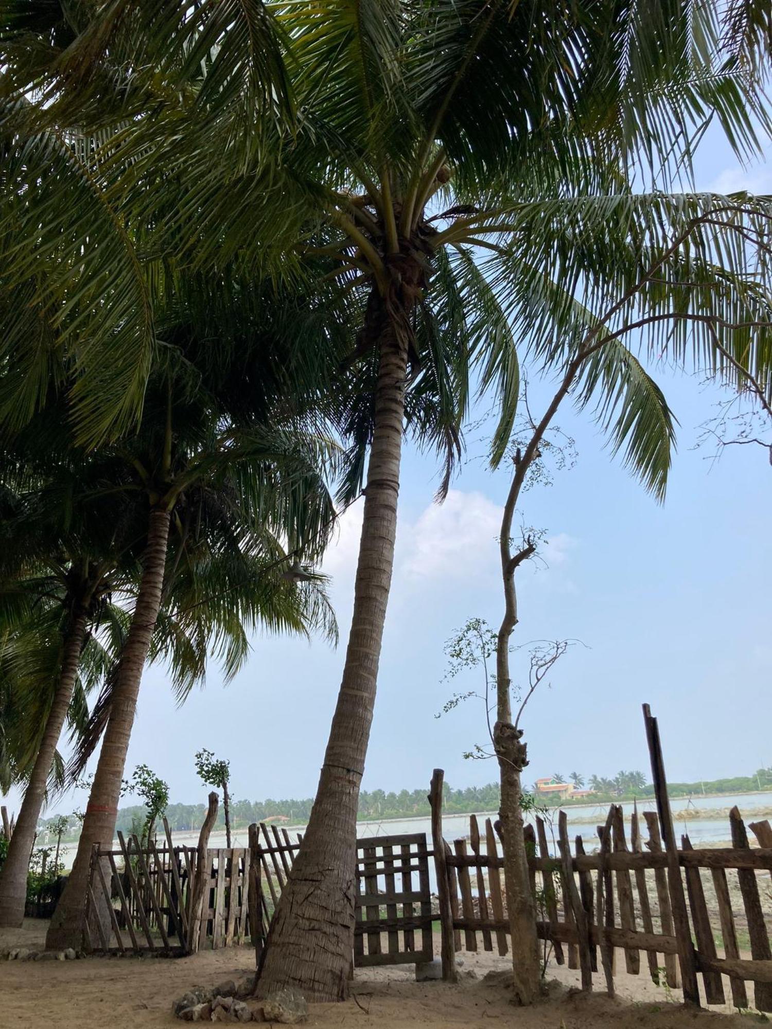 Kite Bay Villa Kalpitiya Exteriör bild