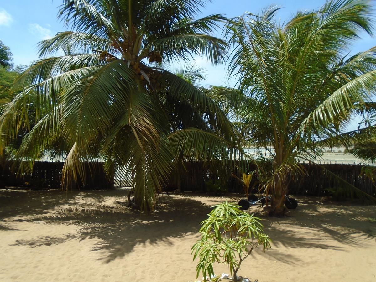 Kite Bay Villa Kalpitiya Exteriör bild